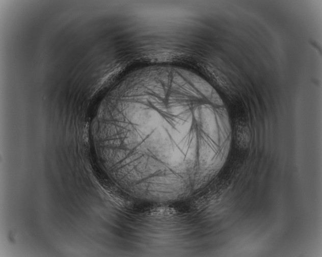 X0000097810543200803281100