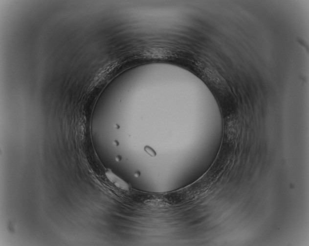 X0000097810544200803281100