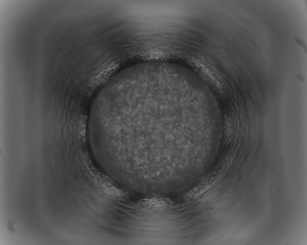 X0000097810545200803281100