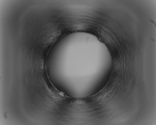 X0000097810546200803281100