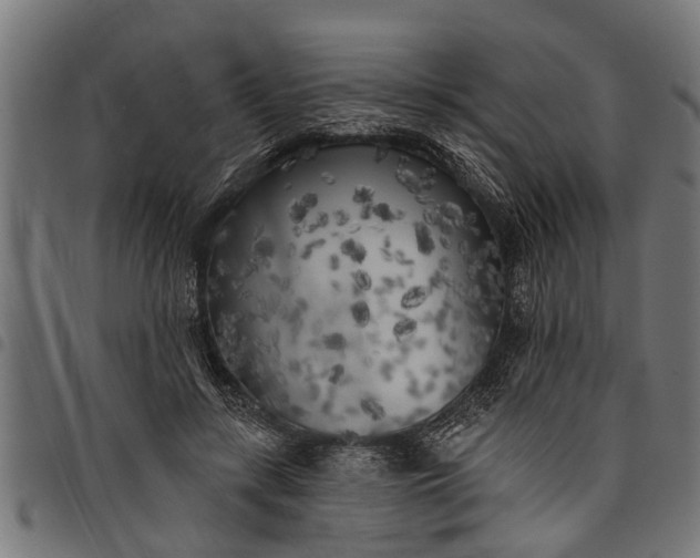 X0000097810547200803281100