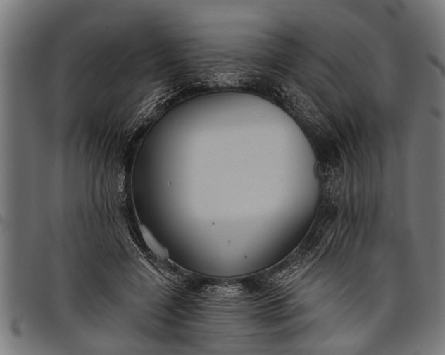 X0000097810548200803281100