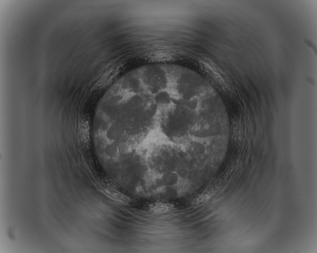 X0000097810549200803281100