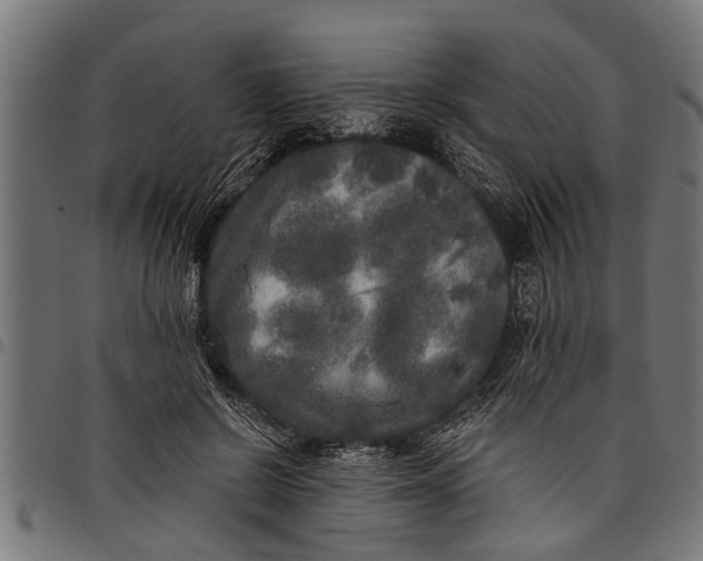 X0000097810550200803281100