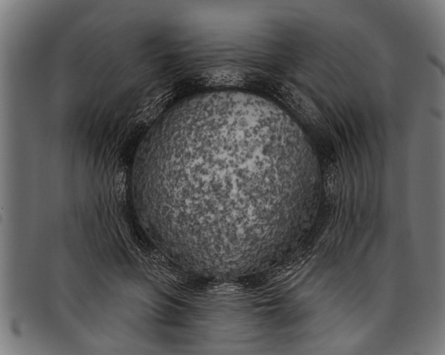 X0000097810551200803281100