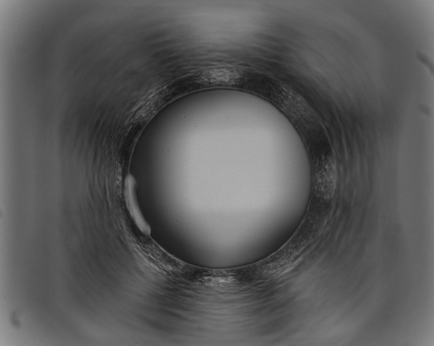 X0000097810552200803281100