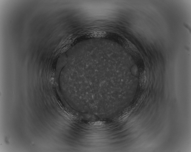 X0000097810553200803281100