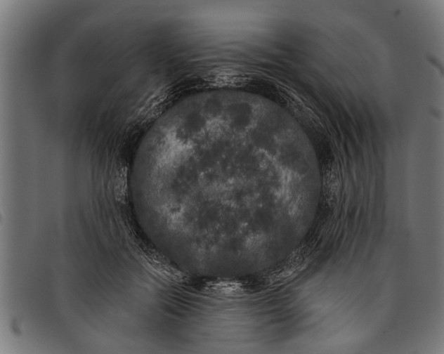 X0000097810554200803281100