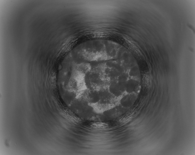 X0000097810557200803281101