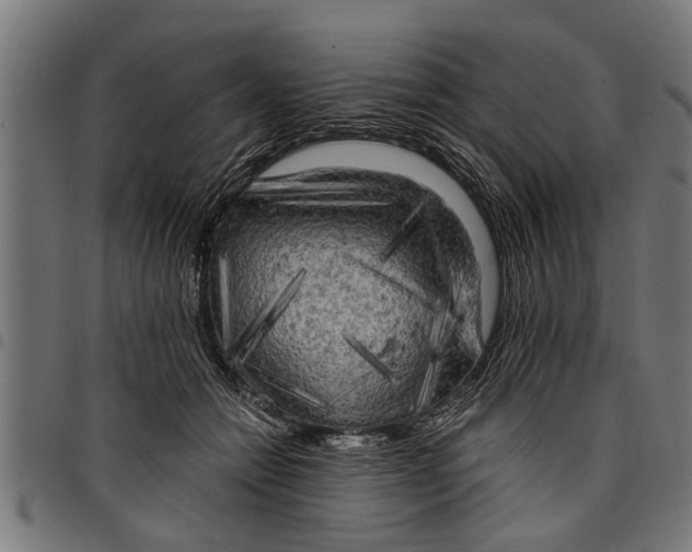 X0000097810558200803281101