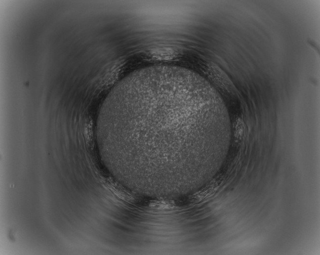 X0000097810559200803281101