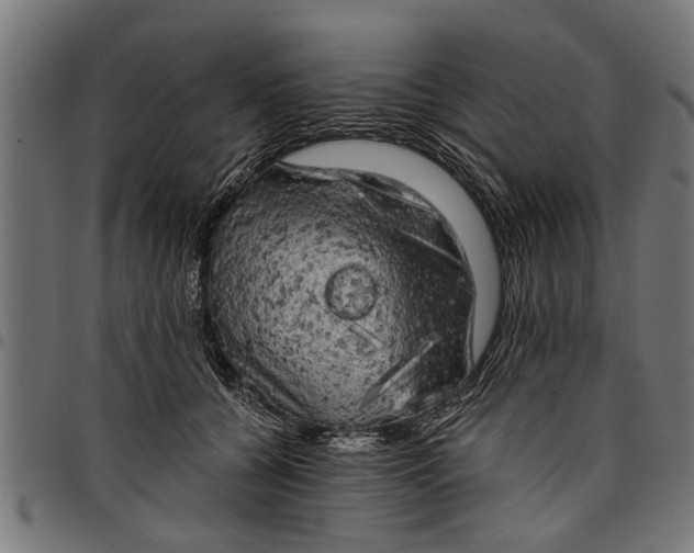 X0000097810560200803281101