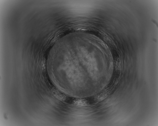 X0000097810561200803281101