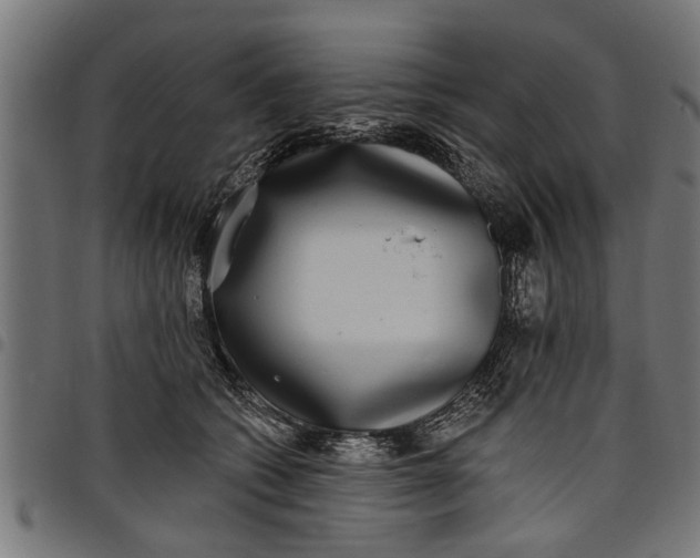 X0000097810562200803281101