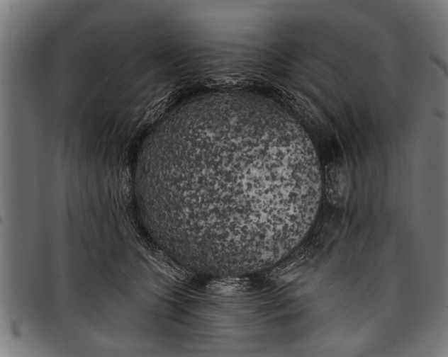 X0000097810563200803281101