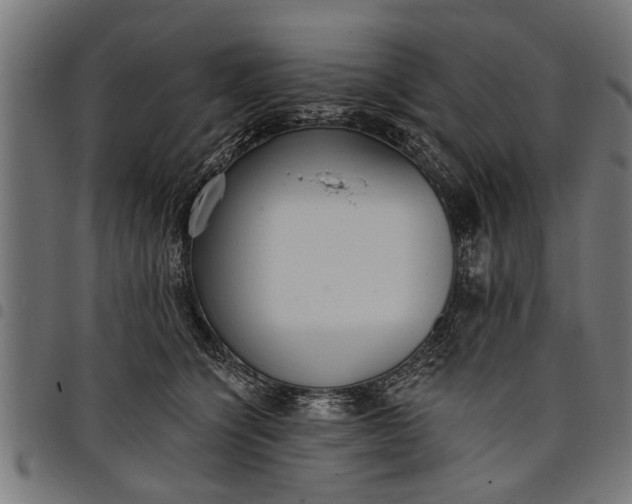 X0000097810564200803281101