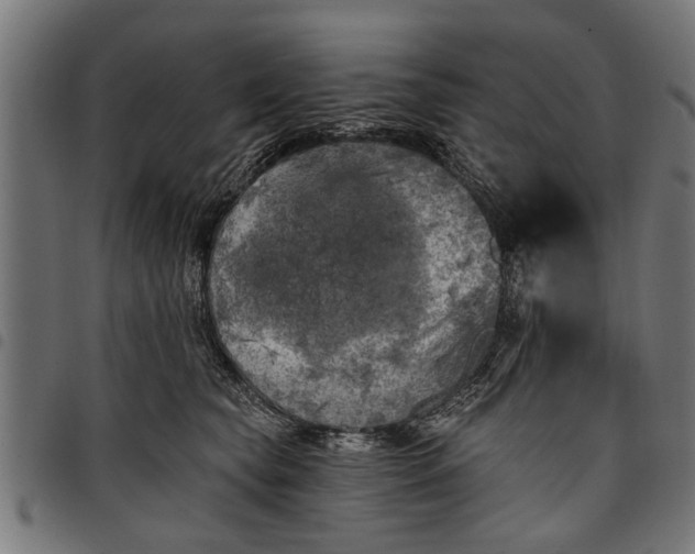 X0000097810565200803281101