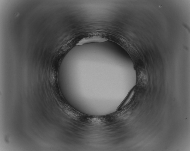 X0000097810566200803281101