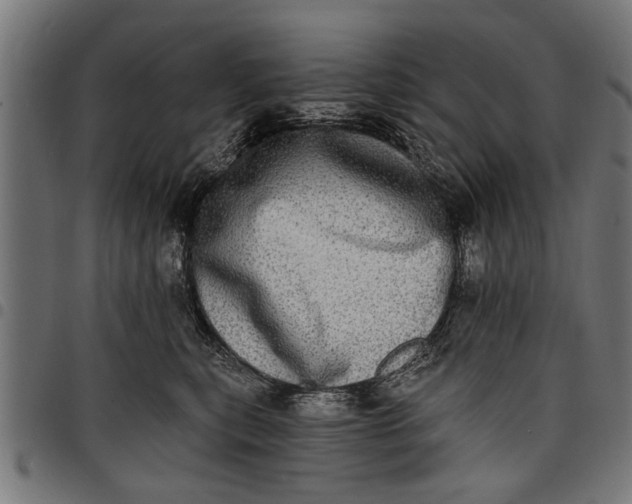 X0000097810567200803281101