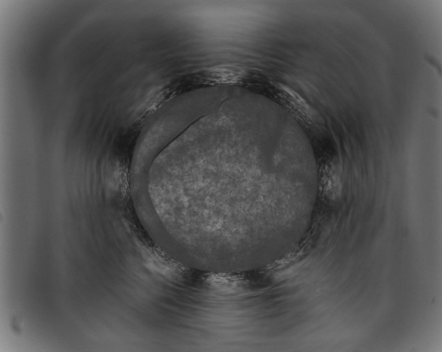 X0000097810568200803281101