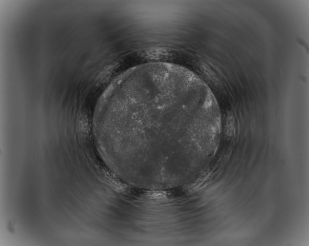 X0000097810569200803281101