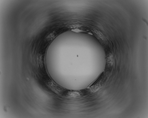 X0000097810572200803281101