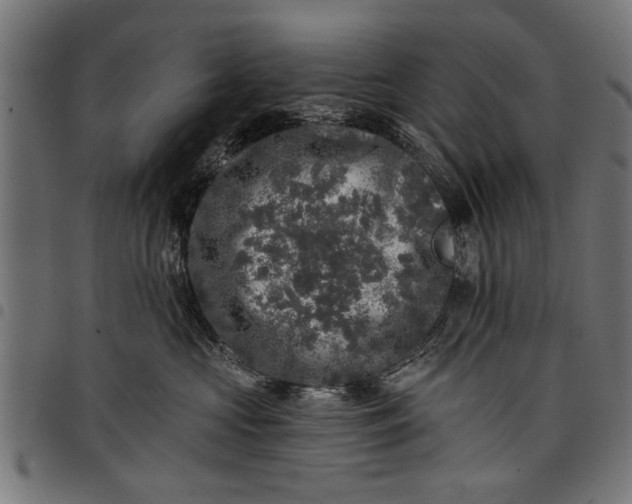 X0000097810573200803281101