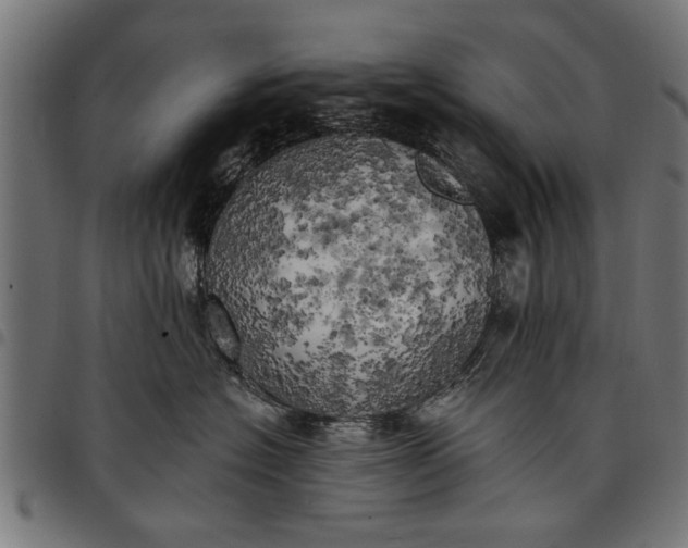 X0000097810574200803281101