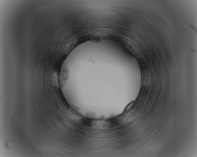 X0000097810575200803281101