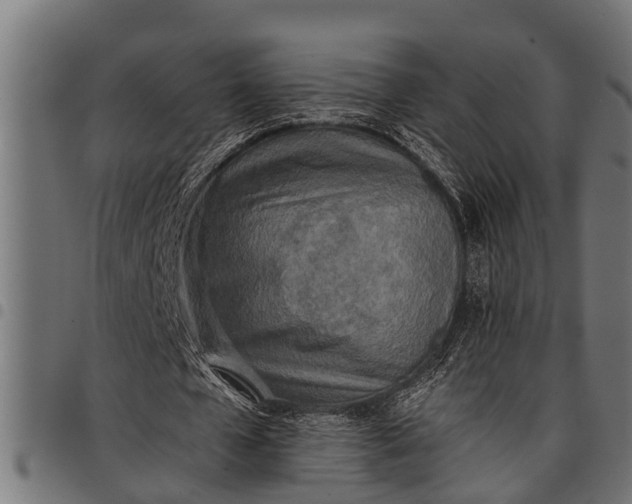 X0000097810577200803281100