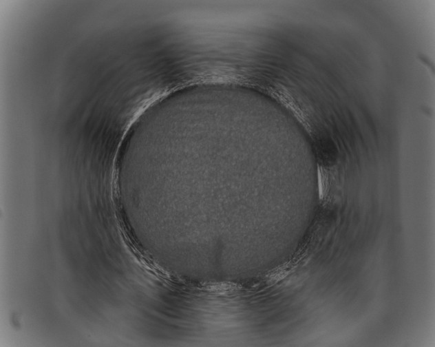 X0000097810579200803281100