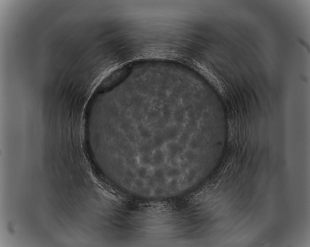 X0000097810580200803281100