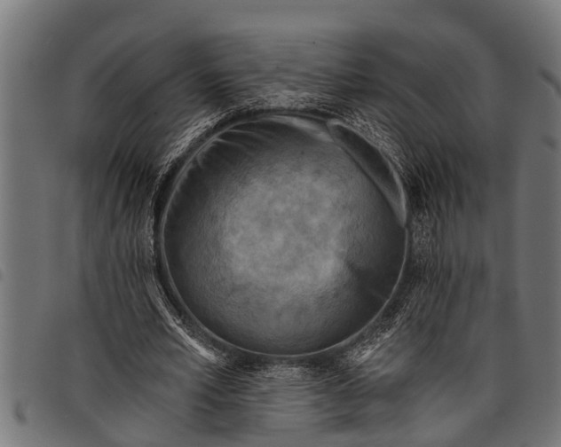 X0000097810581200803281100