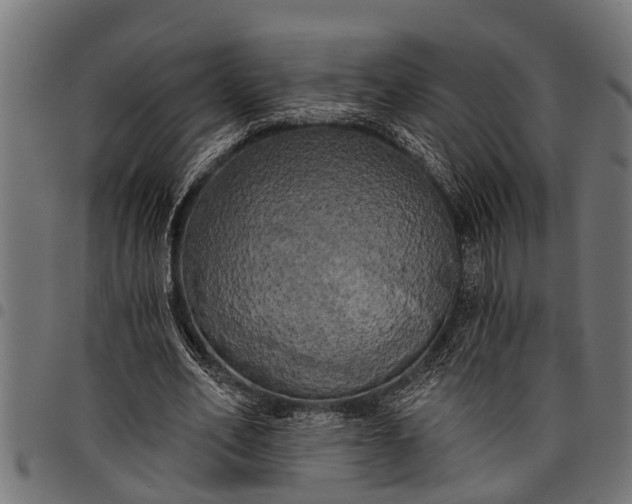 X0000097810582200803281100