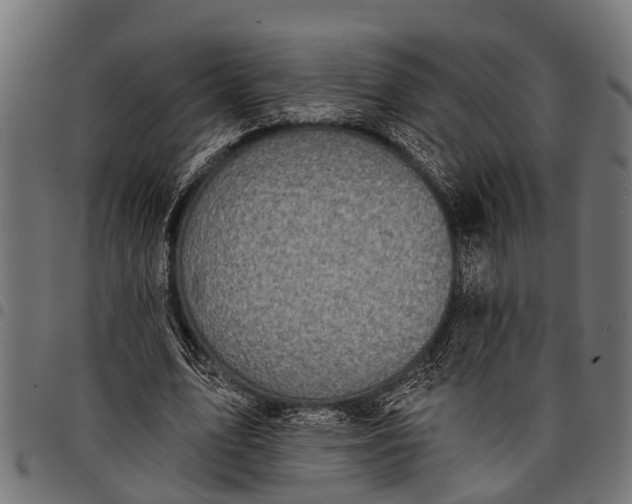 X0000097810583200803281100