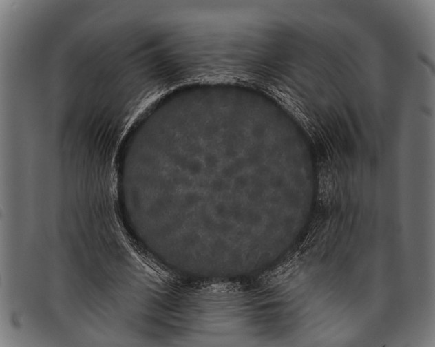 X0000097810584200803281100