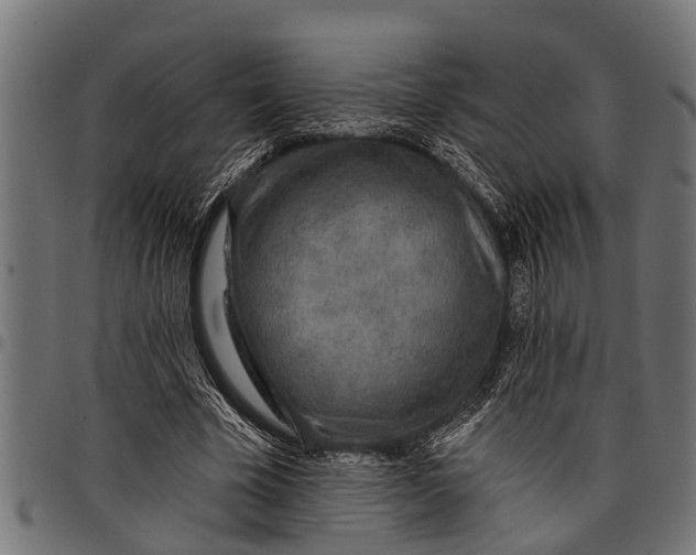 X0000097810585200803281100