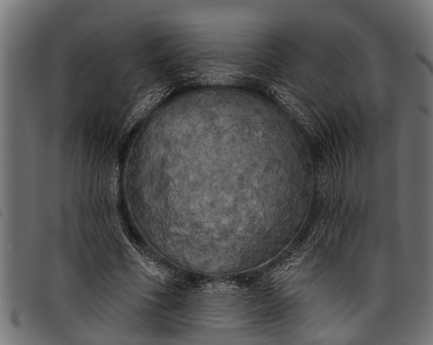 X0000097810586200803281100