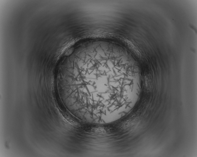 X0000097810588200803281100