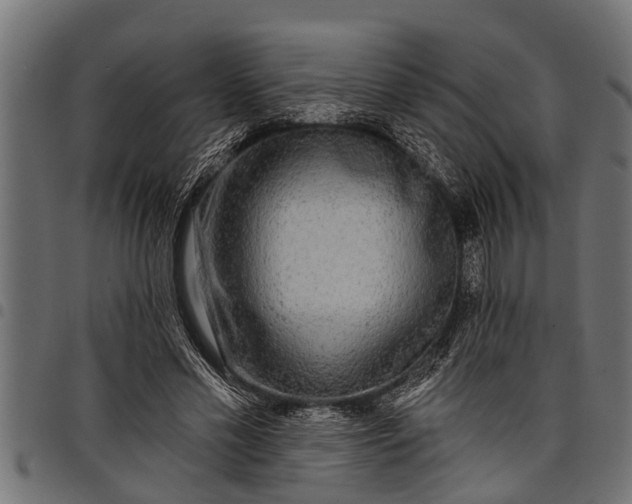 X0000097810589200803281100