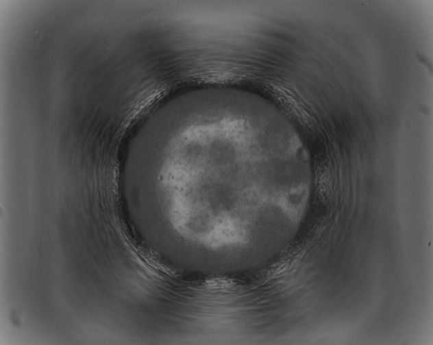 X0000097810591200803281100