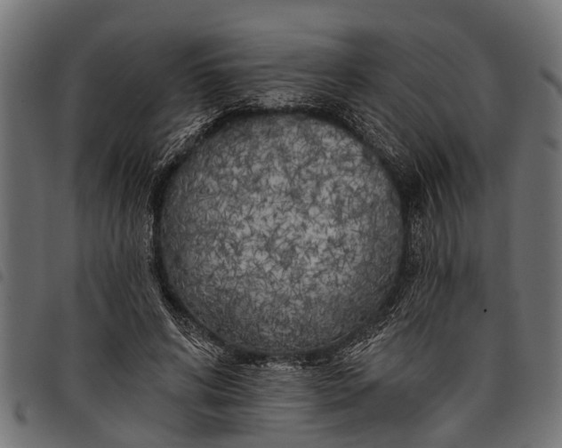 X0000097810592200803281100