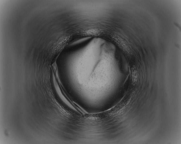 X0000097810593200803281100