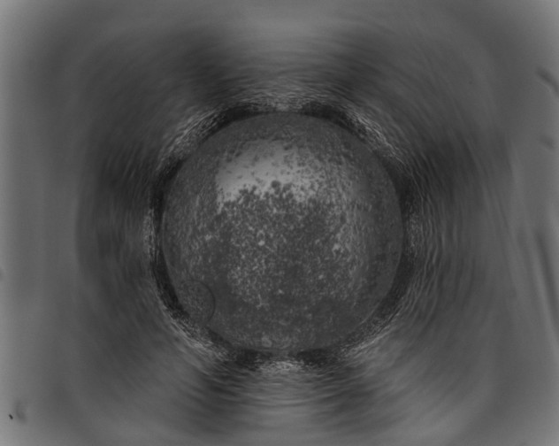 X0000097810594200803281100