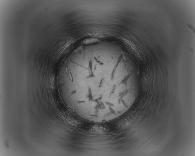 X0000097810596200803281100