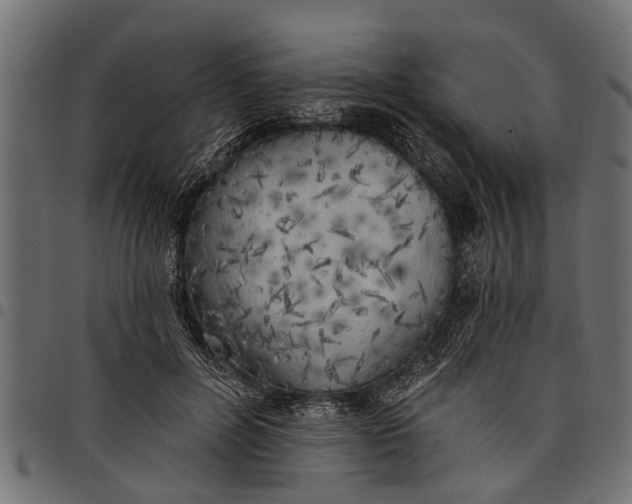 X0000097810600200803281100