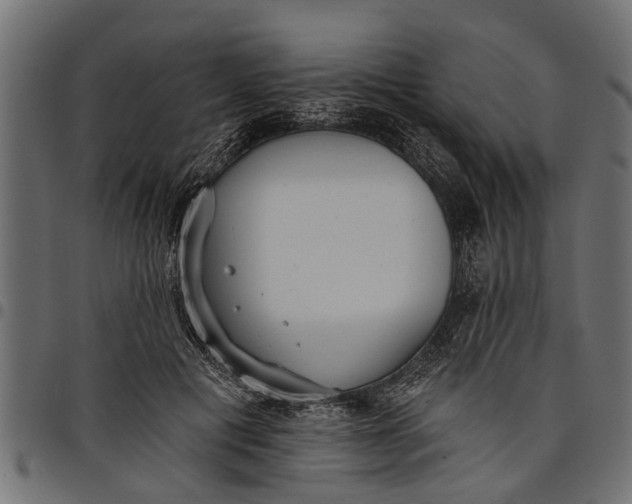 X0000097810601200803281100