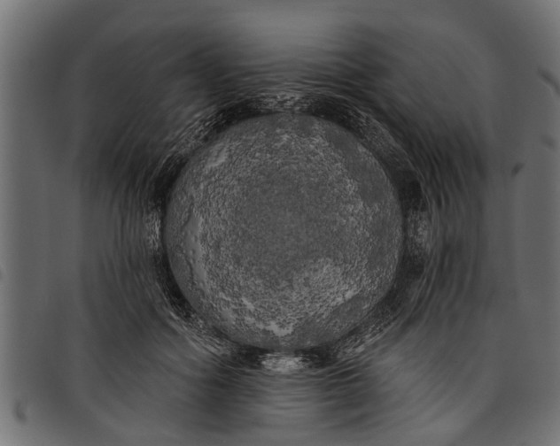 X0000097810602200803281100