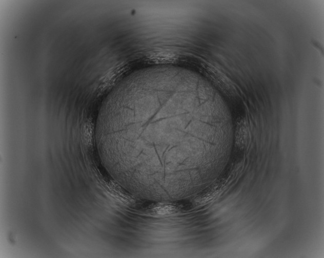 X0000097810604200803281100