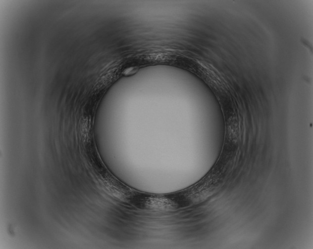 X0000097810605200803281100